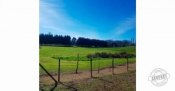 GRAN VENTA DE CAMPO DE 4 HECTÁREAS SECTOR LEFUN, PUCON
