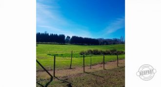 GRAN VENTA DE CAMPO DE 4 HECTÁREAS SECTOR LEFUN, PUCON