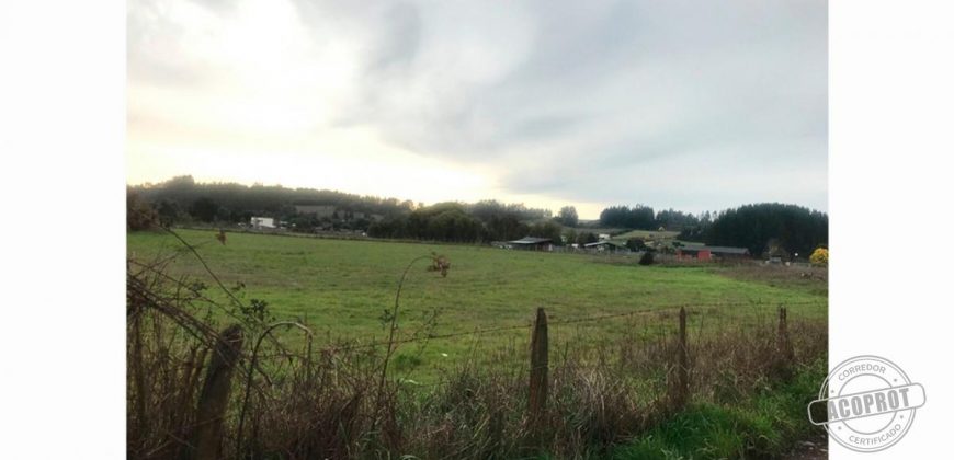 Se Vende Gran Terreno Plano Sector Botrolhue