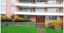 SE VENDE LINDO Y REMODELADO DEPARTAMENTO A PASOS DE AVENIDA ALEMANIA