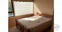 SE ARRIENDA IMPECABLE Y AMOBLADO DEPTO 1D EDIFICIO LYON