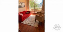 SE ARRIENDA IMPECABLE Y AMOBLADO DEPTO 1D EDIFICIO LYON