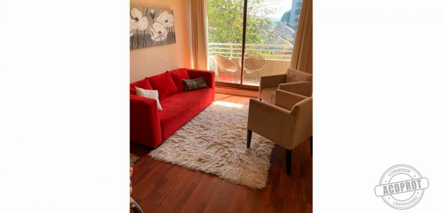 SE ARRIENDA IMPECABLE Y AMOBLADO DEPTO 1D EDIFICIO LYON