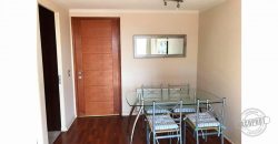 SE ARRIENDA IMPECABLE Y AMOBLADO DEPTO 1D EDIFICIO LYON