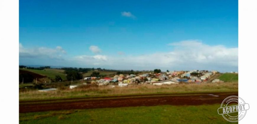 SE VENDE GRAN TERRENO IDEAL PROYECTO HABITACIONAL EN PUERTO SAAVEDRA