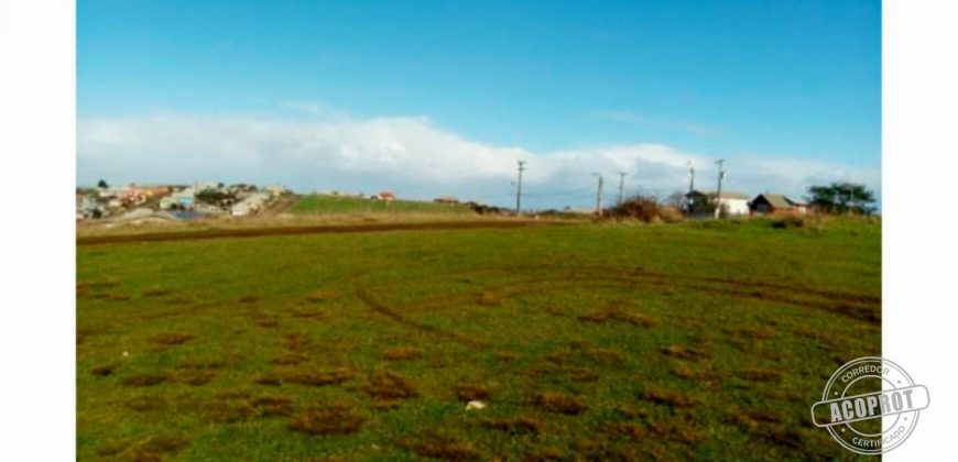 SE VENDE GRAN TERRENO IDEAL PROYECTO HABITACIONAL EN PUERTO SAAVEDRA