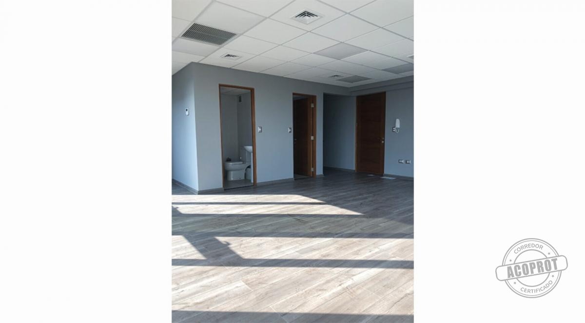 EXCLUSIVA OFICINA SECTOR AVDA ALEMANIA