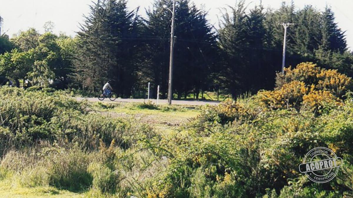 PARCELA DEL COLEGIO DE ABOGADOS