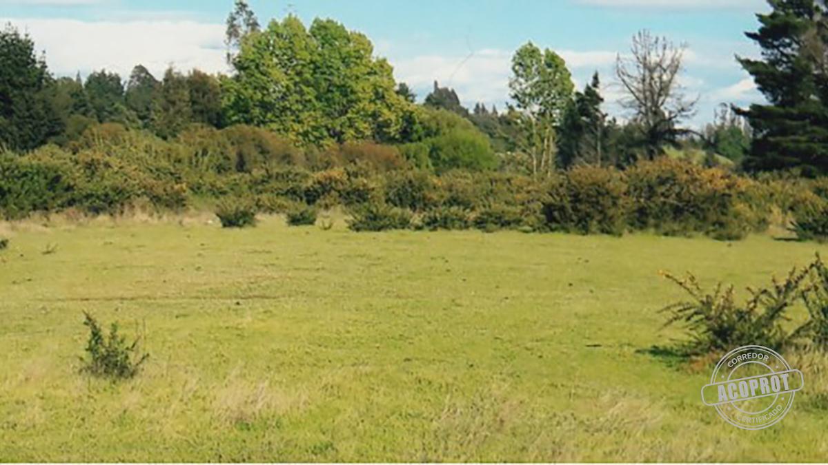 PARCELA DEL COLEGIO DE ABOGADOS