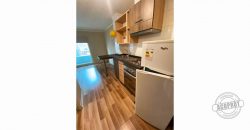 SE ARRIENDA CÉNTRICO DEPARTAMENTO ESTUDIO EDIFICIO CENTRO LAGOS