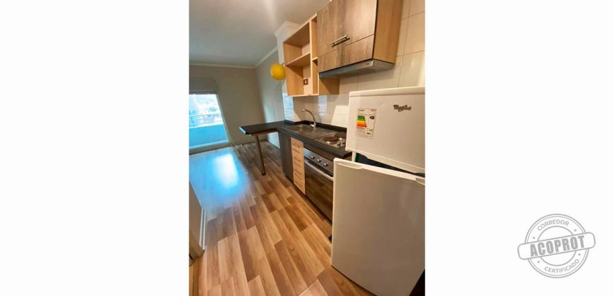 SE ARRIENDA CÉNTRICO DEPARTAMENTO ESTUDIO EDIFICIO CENTRO LAGOS