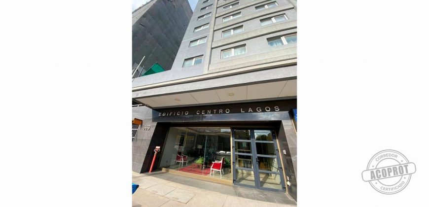 SE ARRIENDA CÉNTRICO DEPARTAMENTO ESTUDIO EDIFICIO CENTRO LAGOS