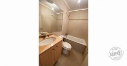 SE ARRIENDA CÉNTRICO DEPARTAMENTO ESTUDIO EDIFICIO CENTRO LAGOS