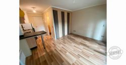 SE ARRIENDA CÉNTRICO DEPARTAMENTO ESTUDIO EDIFICIO CENTRO LAGOS