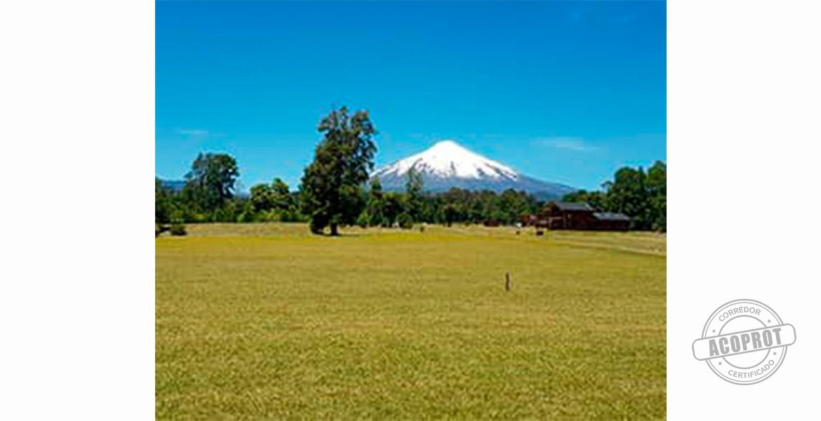 SE VENDE PRECIOSA PARCELA EN CONDOMINIO CERRADO CAMINO VILLARRICA-PUCON