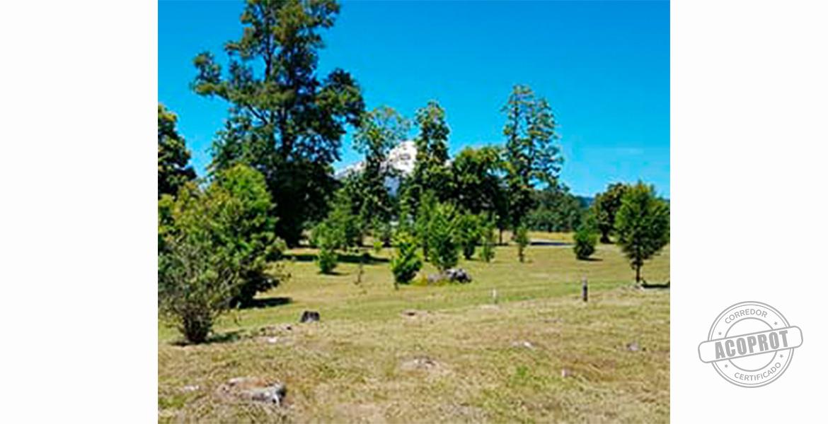 SE VENDE PRECIOSA PARCELA EN CONDOMINIO CERRADO CAMINO VILLARRICA-PUCON