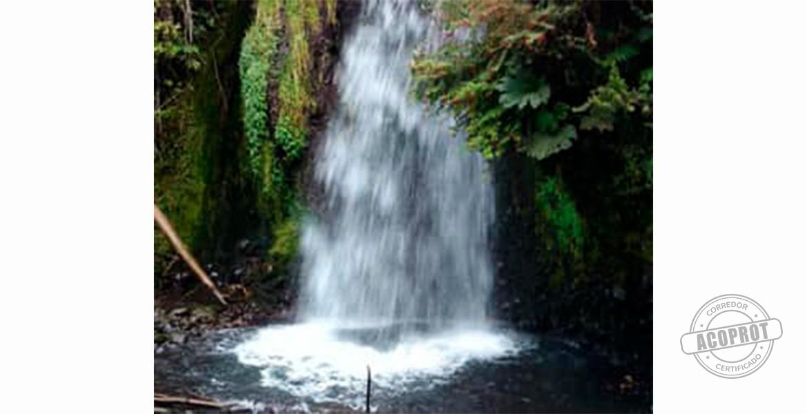 SE VENDE PRECIOSA PARCELA EN CONDOMINIO CERRADO CAMINO VILLARRICA-PUCON