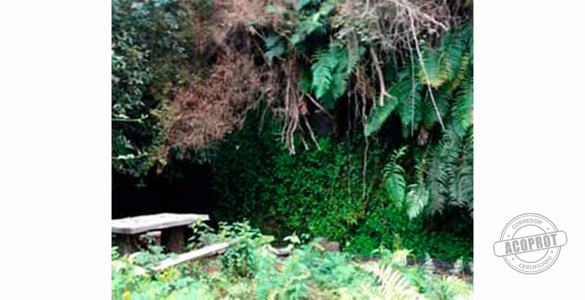 SE VENDE PRECIOSA PARCELA EN CONDOMINIO CERRADO CAMINO VILLARRICA-PUCON