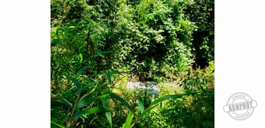 SE VENDE PRECIOSA PARCELA EN CONDOMINIO CERRADO CAMINO VILLARRICA-PUCON