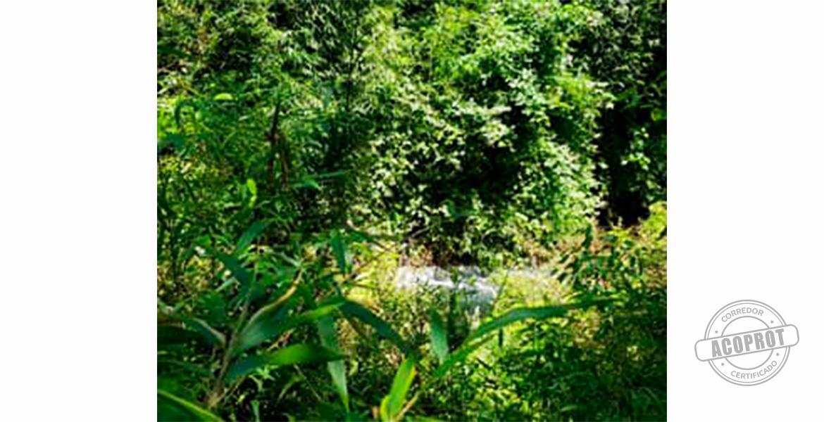 SE VENDE PRECIOSA PARCELA EN CONDOMINIO CERRADO CAMINO VILLARRICA-PUCON