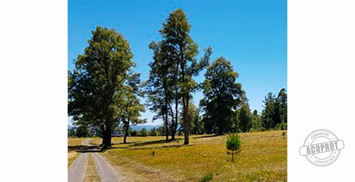 SE VENDE PRECIOSA PARCELA EN CONDOMINIO CERRADO CAMINO VILLARRICA-PUCON