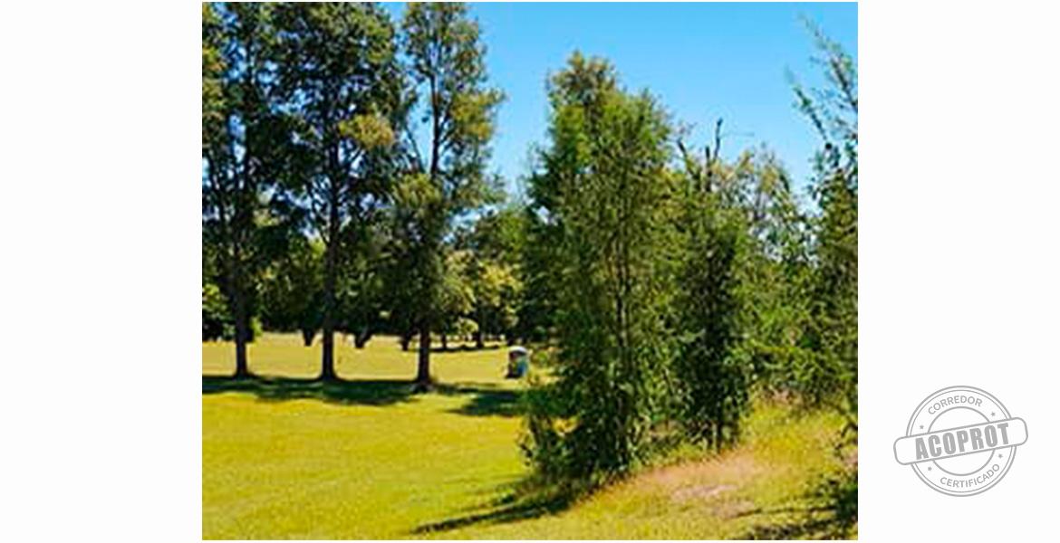 SE VENDE PRECIOSA PARCELA EN CONDOMINIO CERRADO CAMINO VILLARRICA-PUCON