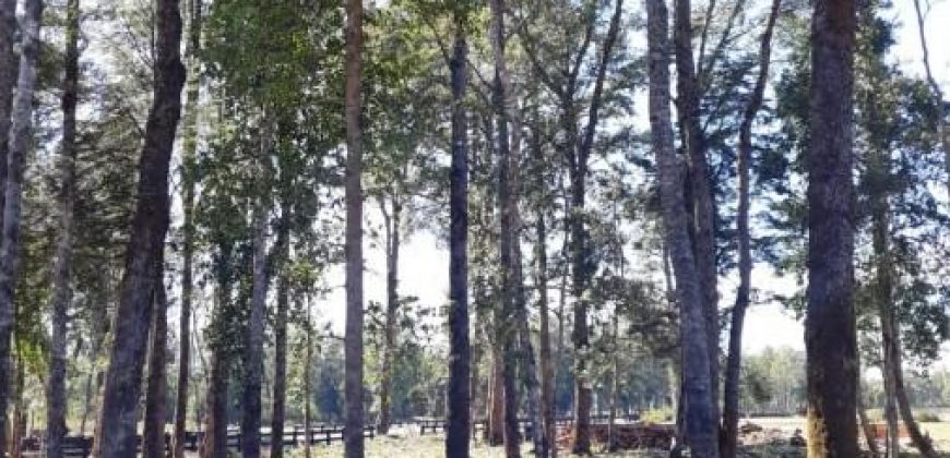 Condominio Vida Nueva