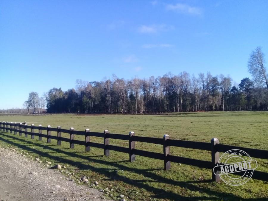 Condominio Vida Nueva