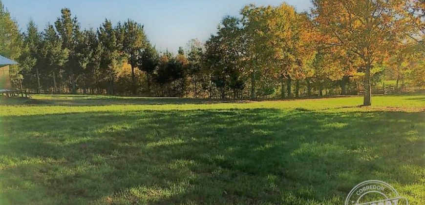 VENDO PARCELA CON CASA en sector boquipulli alto
