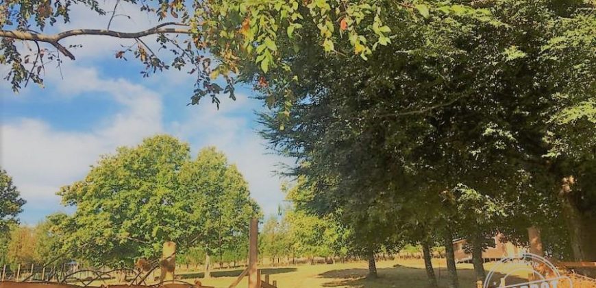 VENDO PARCELA CON CASA en sector boquipulli alto