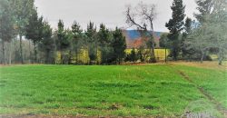VENDO PARCELA CON CASA en sector boquipulli alto