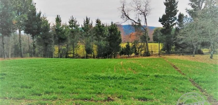 VENDO PARCELA CON CASA en sector boquipulli alto