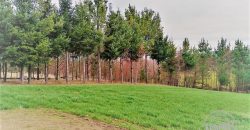 VENDO PARCELA CON CASA en sector boquipulli alto