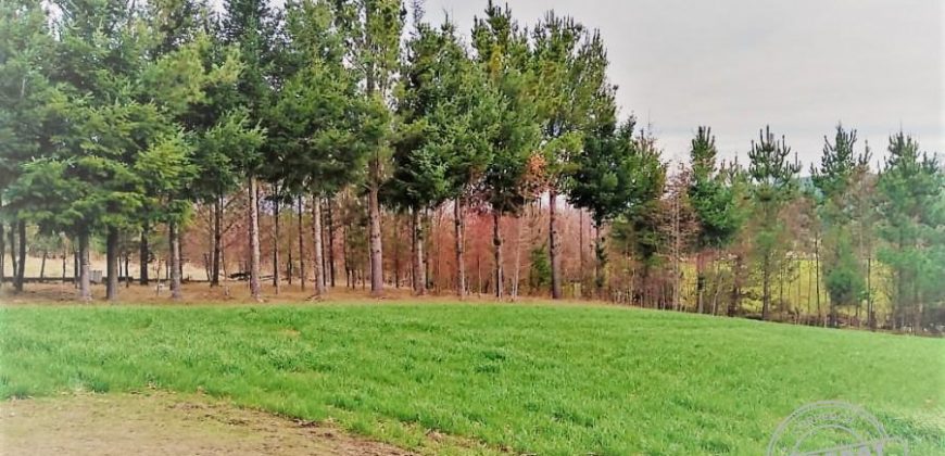VENDO PARCELA CON CASA en sector boquipulli alto