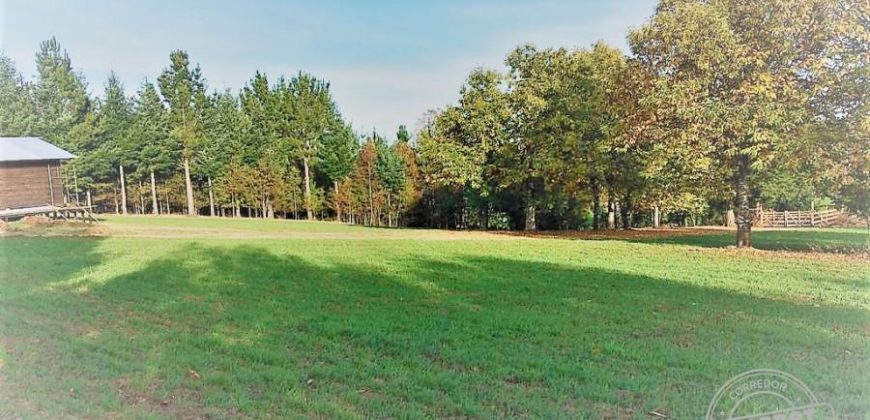 VENDO PARCELA CON CASA en sector boquipulli alto