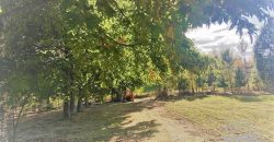 VENDO PARCELA CON CASA en sector boquipulli alto