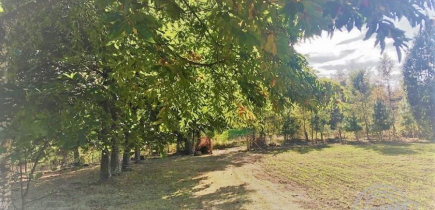 VENDO PARCELA CON CASA en sector boquipulli alto