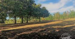 VENDO PARCELA CON CASA en sector boquipulli alto