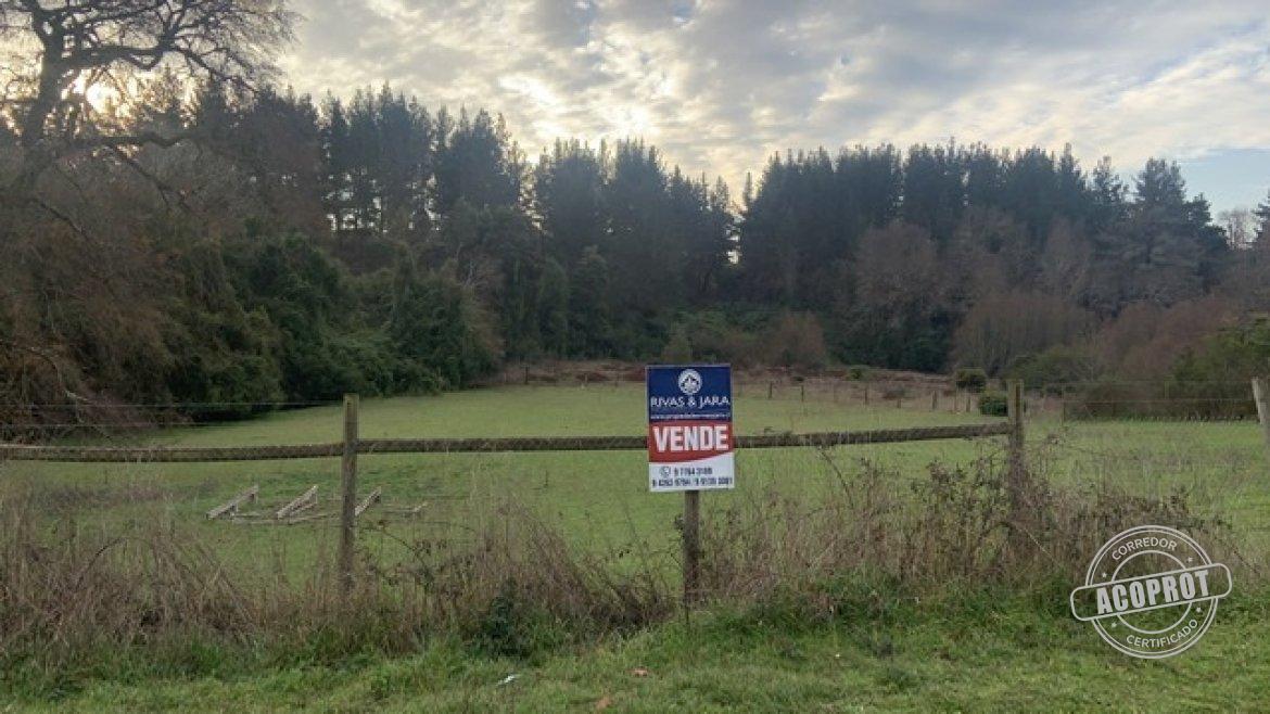 VENDEMOS HERMOSAS PARCELAS LOMAS DEL CARMEN VENDEMOS HERMOSAS PARCELAS LOMAS DEL CARMEN