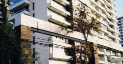 HERMOSO DEPARTAMENTO 502 CALLE JOSÉ LUIS ARANEDA N°90, ÑUÑOA, SANTIAGO