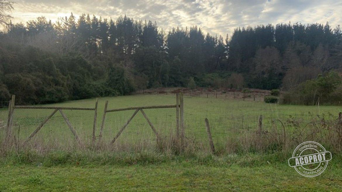 VENDEMOS HERMOSAS PARCELAS LOMAS DEL CARMEN VENDEMOS HERMOSAS PARCELAS LOMAS DEL CARMEN