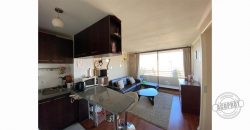 SE ARRIENDA DEPARTAMENTO AMOBLADO EN SECTOR AV.ALEMANIA