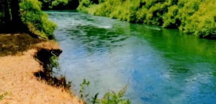 Vende parcela de 18 hectáreas en el lugar «El Mirador», faja 5, a 40 kilómetros de Pitrufquén a Villarrica por Ñancul y a sólo 8 kilómetros de Villarrica.