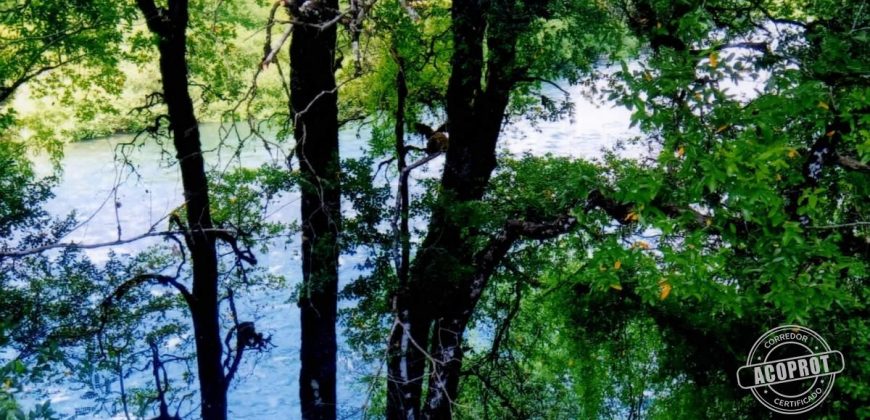 Vende parcela de 18 hectáreas en el lugar «El Mirador», faja 5, a 40 kilómetros de Pitrufquén a Villarrica por Ñancul y a sólo 8 kilómetros de Villarrica.