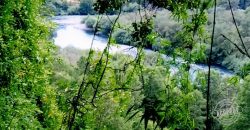 Vende parcela de 18 hectáreas en el lugar «El Mirador», faja 5, a 40 kilómetros de Pitrufquén a Villarrica por Ñancul y a sólo 8 kilómetros de Villarrica.