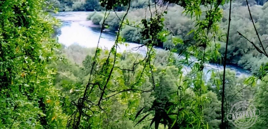 Vende parcela de 18 hectáreas en el lugar «El Mirador», faja 5, a 40 kilómetros de Pitrufquén a Villarrica por Ñancul y a sólo 8 kilómetros de Villarrica.