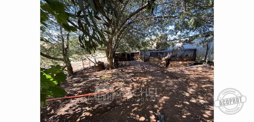 SE VENDE ACOGEDORA Y APACIBLE CASA-QUINTA
