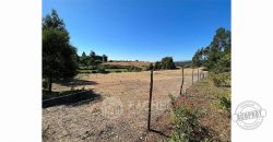 SE VENDE ACOGEDORA Y APACIBLE CASA-QUINTA