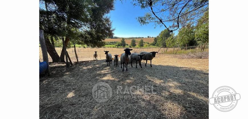 SE VENDE ACOGEDORA Y APACIBLE CASA-QUINTA