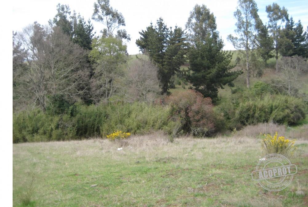Vendo Gran Terreno Lado Liceo la Frontera Temuco